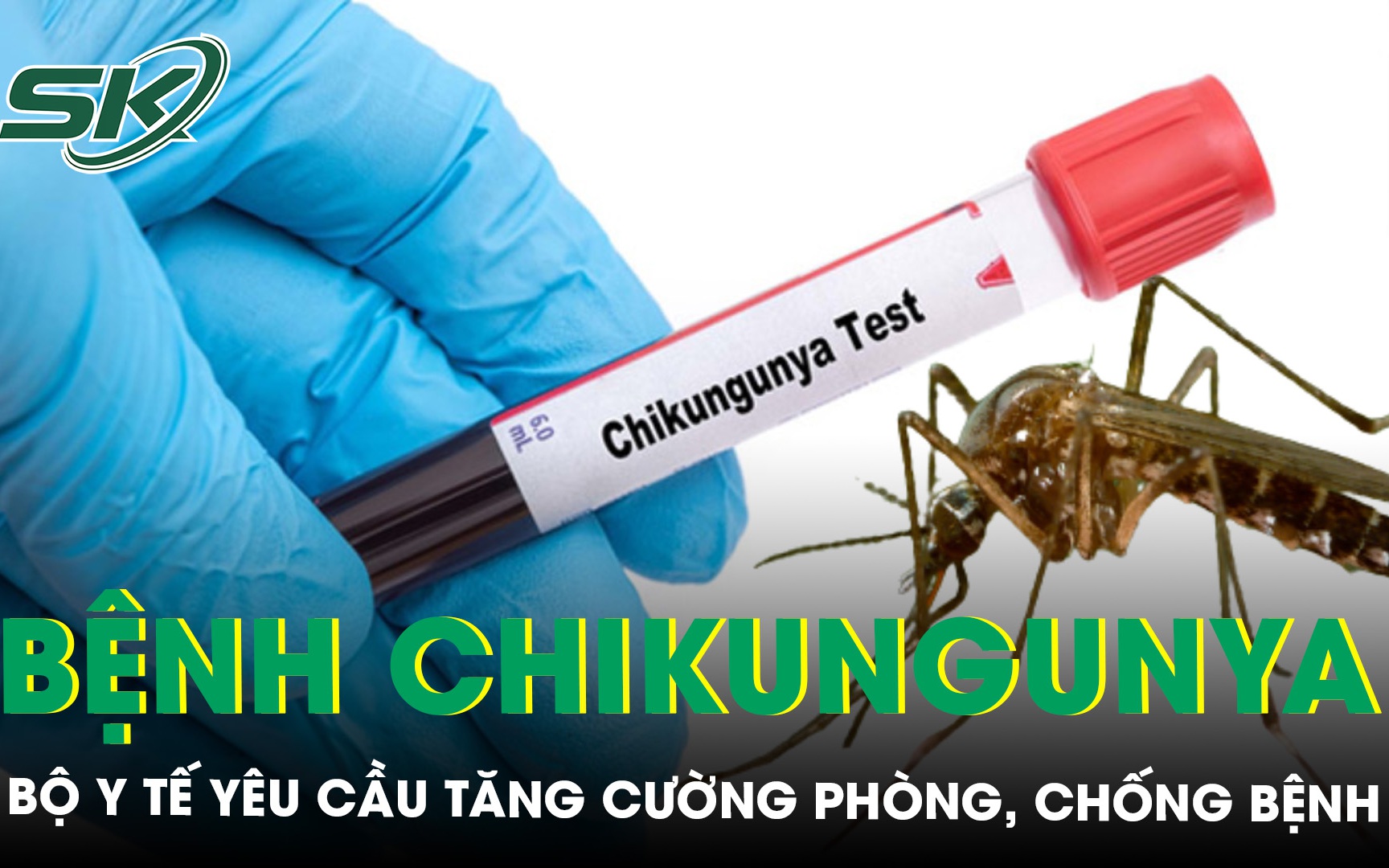 Bộ Y tế yêu cầu tăng cường phòng, chống bệnh Chikungunya
