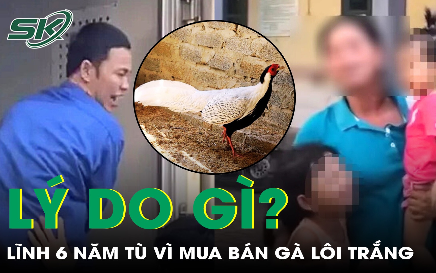 Lý do gì khiến người đàn ông lĩnh án 6 năm tù vì mua bán gà lôi trắng?