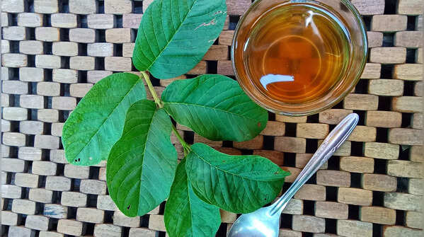 3 lợi ích của nước lá ổi với mắt- Ảnh 2. Trí tuệ Ayurvedic