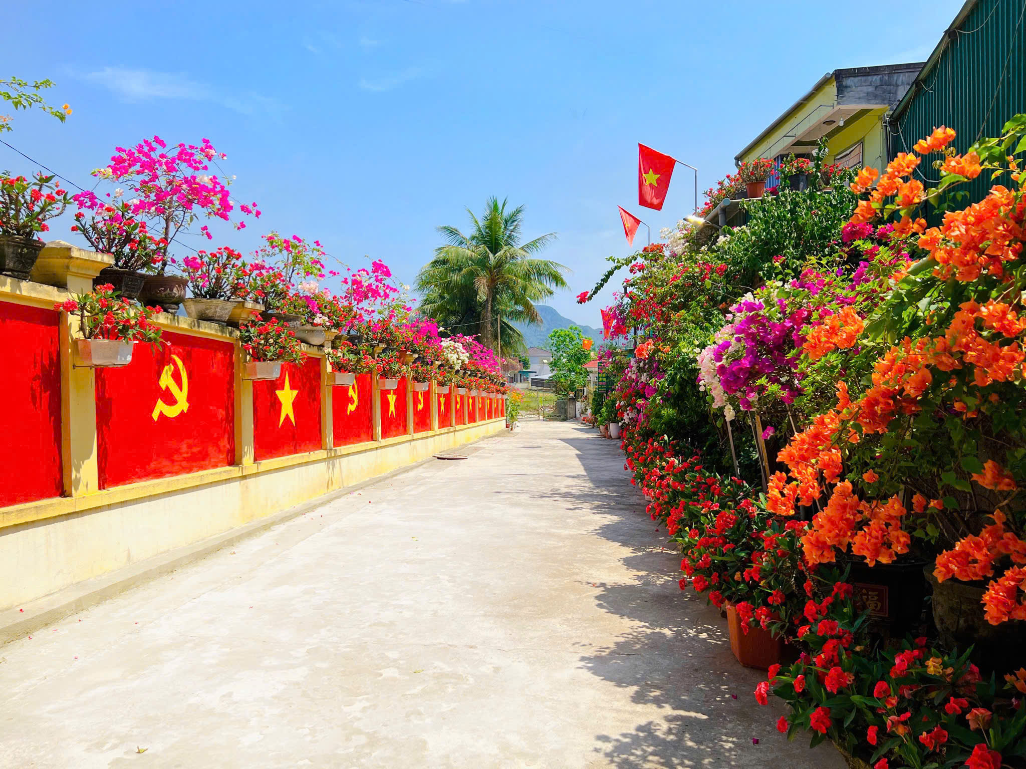 Cách yêu nước độc đáo của vợ chồng miền núi Nghệ An- Ảnh 3.