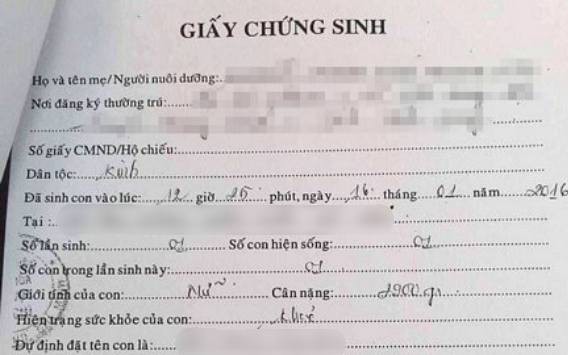 Thay tên, trốn sang nước ngoài khi bị truy tố tội buôn bán trẻ em- Ảnh 2.