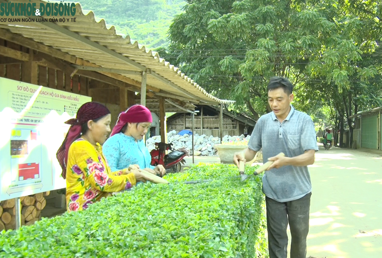 Bình đẳng giới, chìa khóa hạnh phúc vùng cao: Xây dựng gia đình 'ấm no, hạnh phúc'- Ảnh 2.