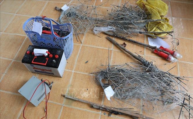 Tạm giữ hình sự hai đối tượng dùng điện bẫy chuột dẫn đến chết người- Ảnh 1.