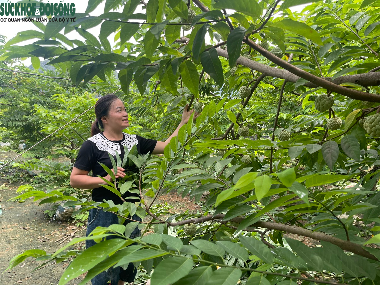 Bình đẳng giới, 'chìa khóa' để phát triển kinh tế gia đình- Ảnh 2.