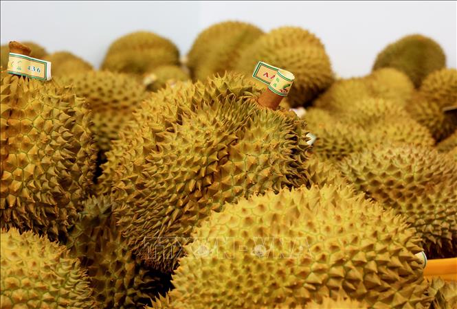 Xuất khẩu rau quả lấy lại đà tăng trưởng- Ảnh 1.
