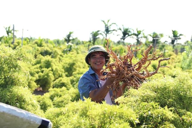 Định hướng phát triển dược liệu Việt đạt tiêu chuẩn GACP-WHO- Ảnh 2.