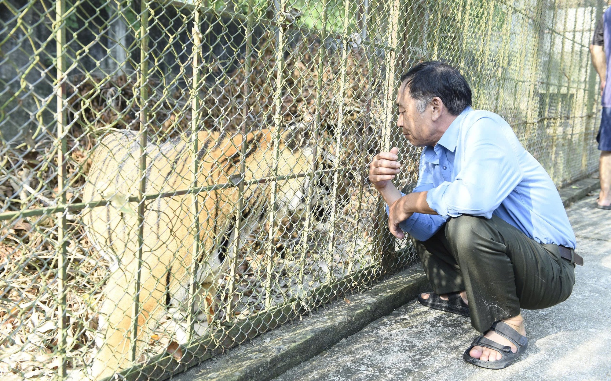 Tìm ngôi nhà mới cho chín cá thể động vật quý hiếm có nguy cơ tuyệt chủng- Ảnh 4.