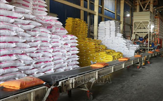 Gạo Việt hướng tới giá trị gia tăng và phát triển bền vững- Ảnh 1. Gạo Việt hướng tới giá trị gia tăng và phát triển bền vững- Ảnh 1.