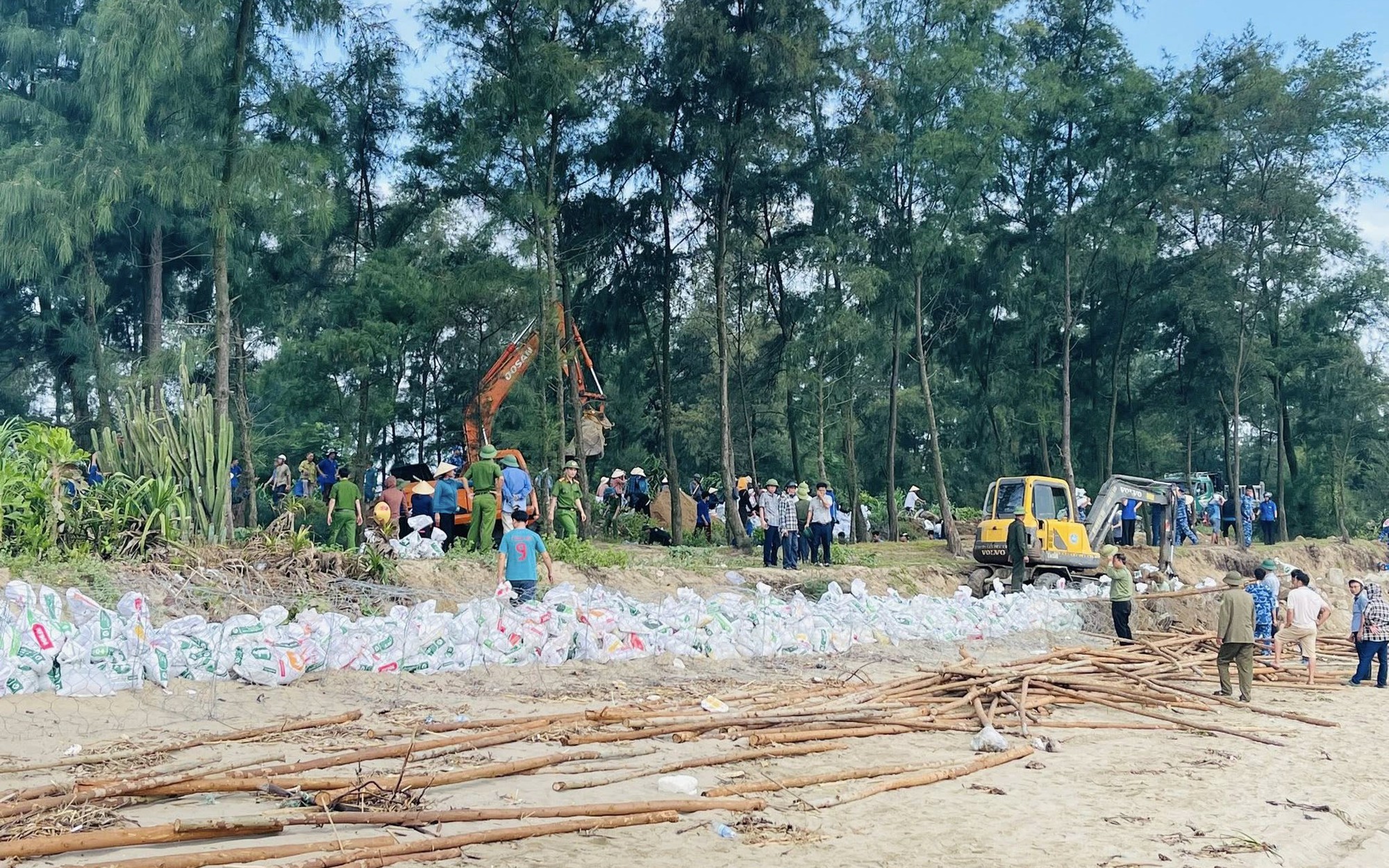 Hà Tĩnh sơ tán gần 700 hộ dân tránh bão