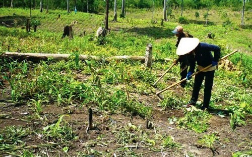Quy định mới về sử dụng đất kết hợp đa mục đích