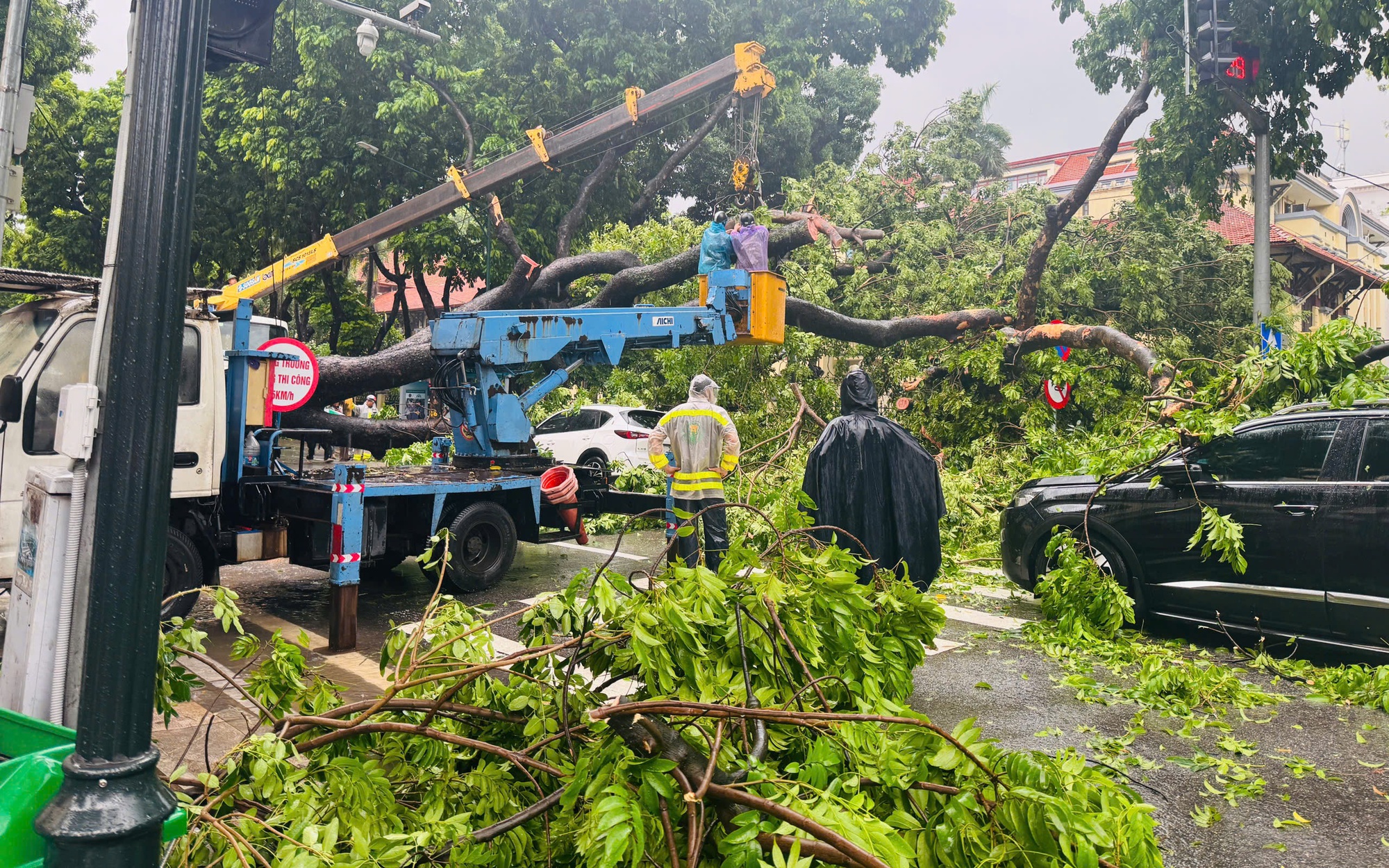 Hà Nội: Cây cổ thụ bật gốc đè trúng 2 ô tô đang lưu thông