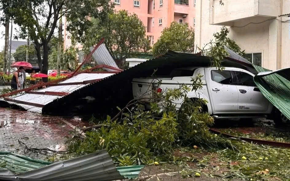 Cây đổ đè xe máy, ô tô… la liệt ở Nghệ An