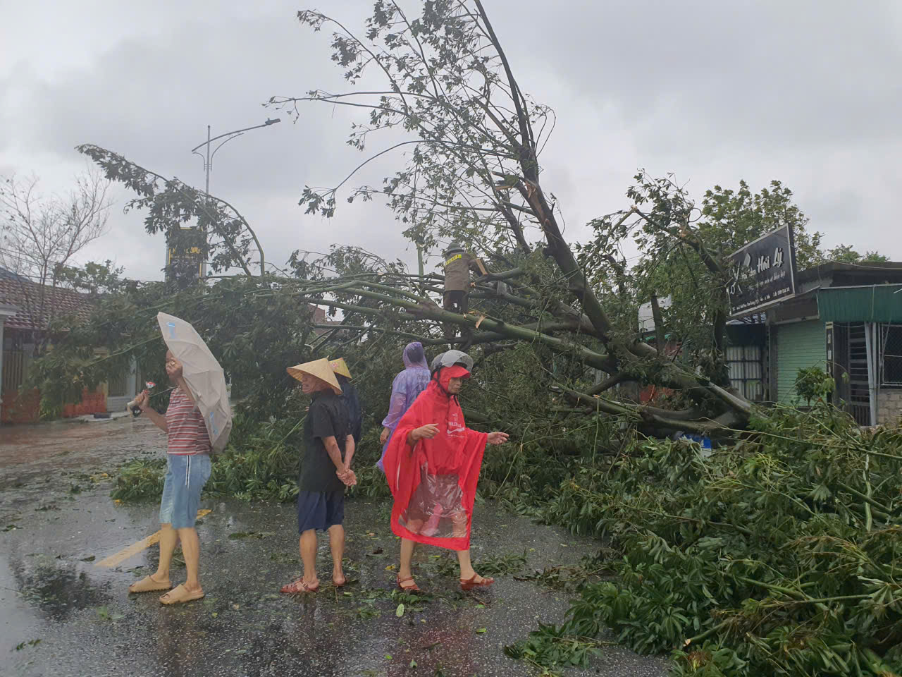 Bão số 5 tàn phá Hà Tĩnh tan hoang- Ảnh 6.