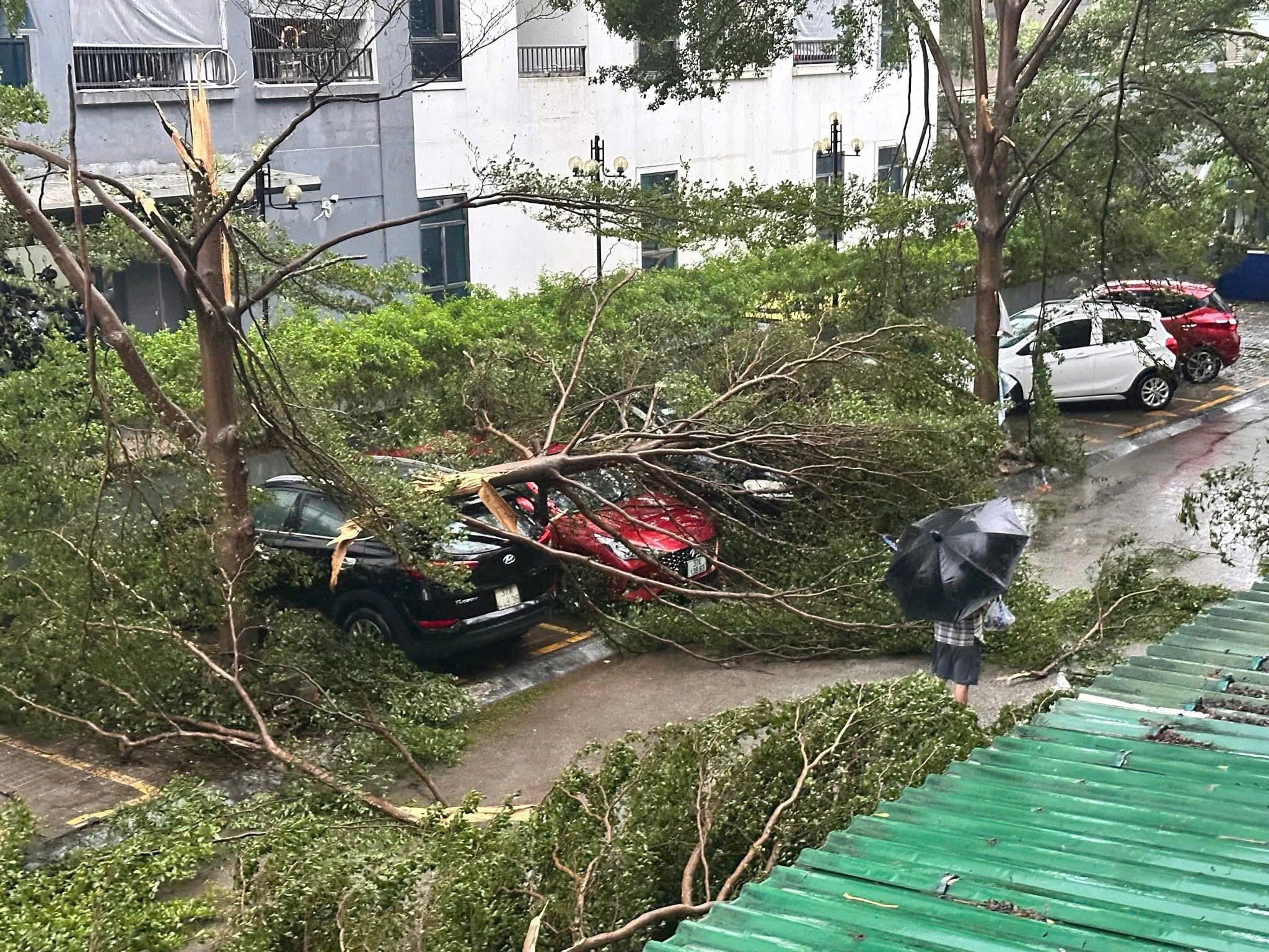 Nghệ An ngổn ngang sau bão- Ảnh 5.