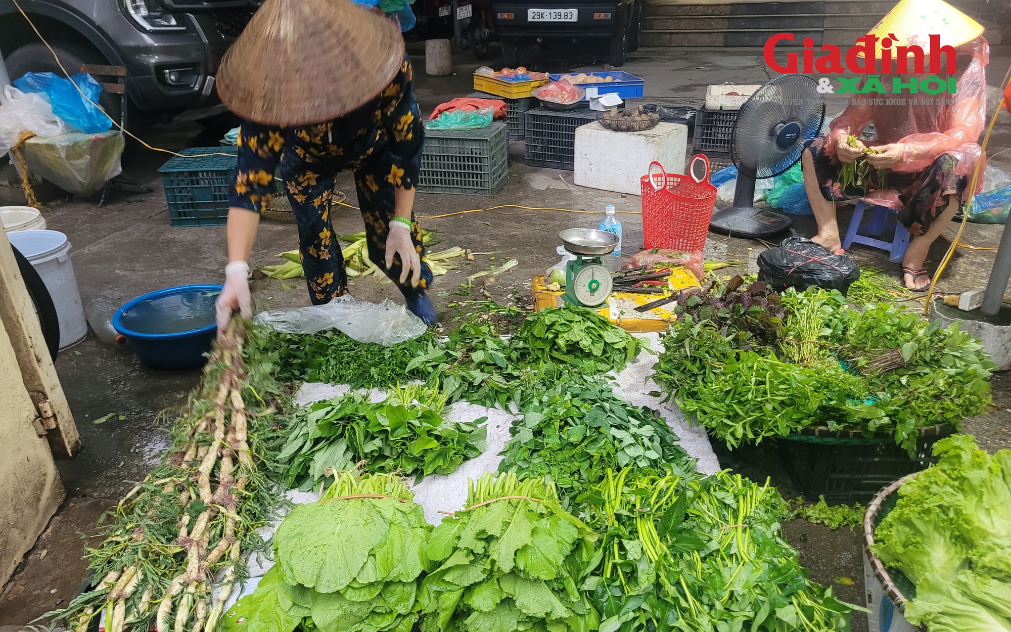Rau xanh Hà Nội tăng giá gấp đôi vì ảnh hưởng bão số 5
