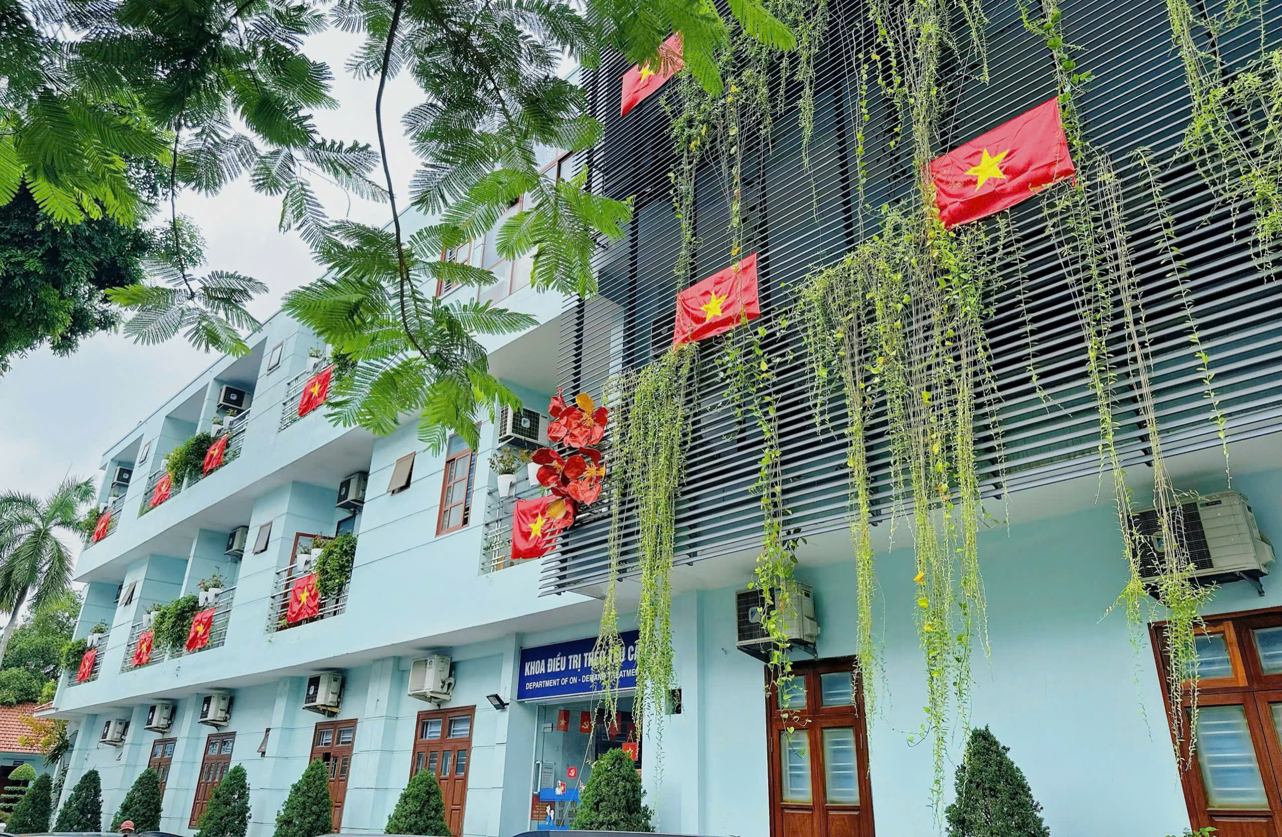 Hải Phòng rực rỡ cờ hoa, thầy trò và y bác sĩ hân hoan mừng 80 năm Quốc khánh- Ảnh 12.