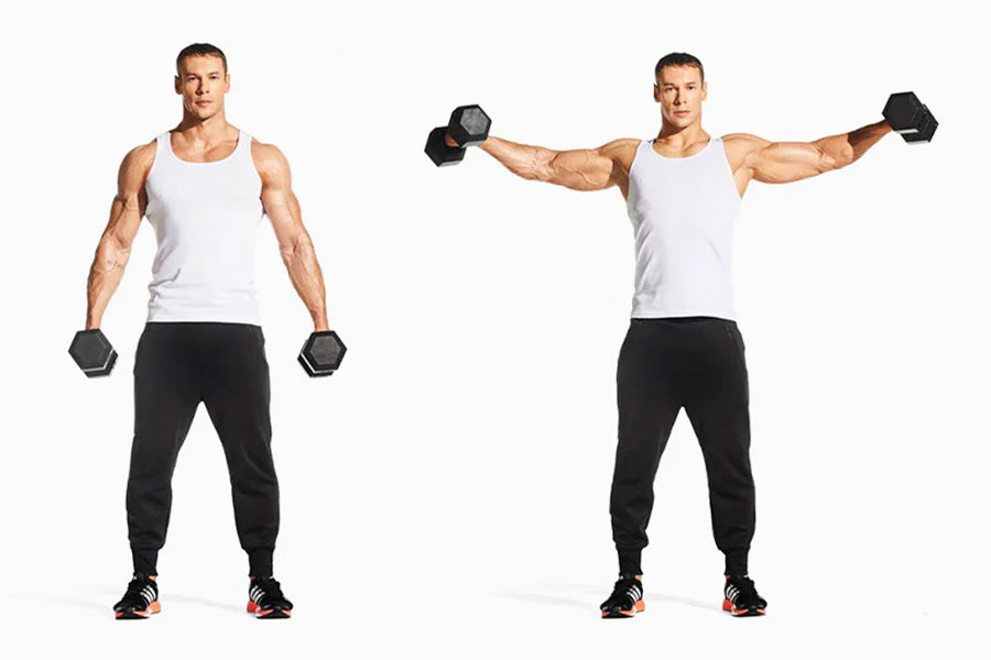 6 bài tập đứng tốt nhất giúp ngăn ngừa mất cơ sau 40 tuổi- Ảnh 4. The Beginners Guide To Master The Dumbbell Lateral Raise – DMoose