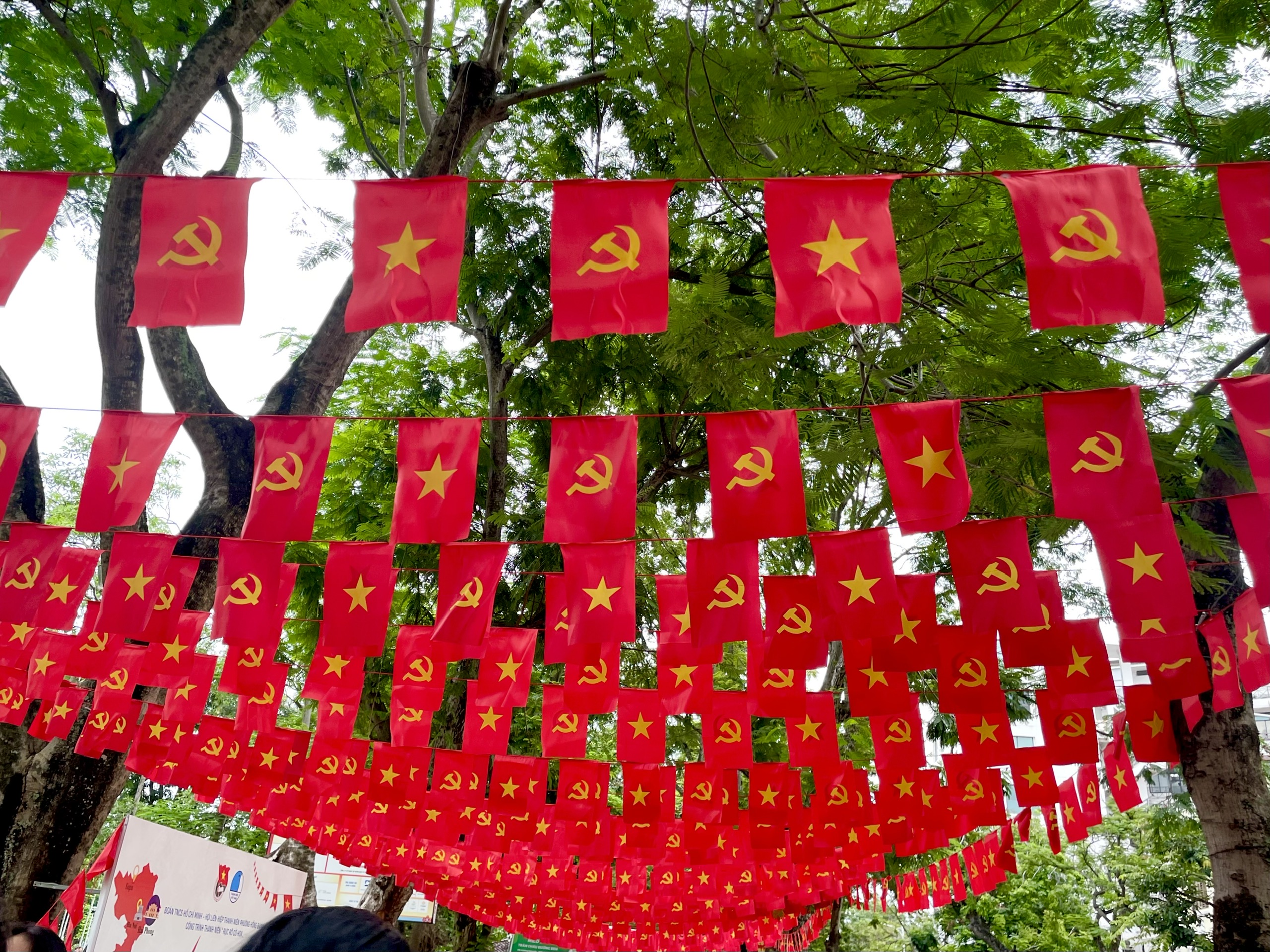 Hải Phòng rực rỡ cờ hoa, thầy trò và y bác sĩ hân hoan mừng 80 năm Quốc khánh- Ảnh 29. Hải Phòng rực rỡ cờ hoa, thầy trò và y bác sĩ hân hoan mừng 80 năm Quốc khánh- Ảnh 29.