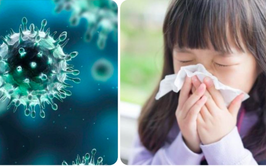 Ca mắc cúm mùa tăng, Bộ Y tế khuyến cáo người dân không tự ý dùng thuốc kháng virus - Ảnh 2. Ca mắc cúm mùa tăng, Bộ Y tế khuyến cáo người dân không tự ý dùng thuốc kháng virus - Ảnh 2.