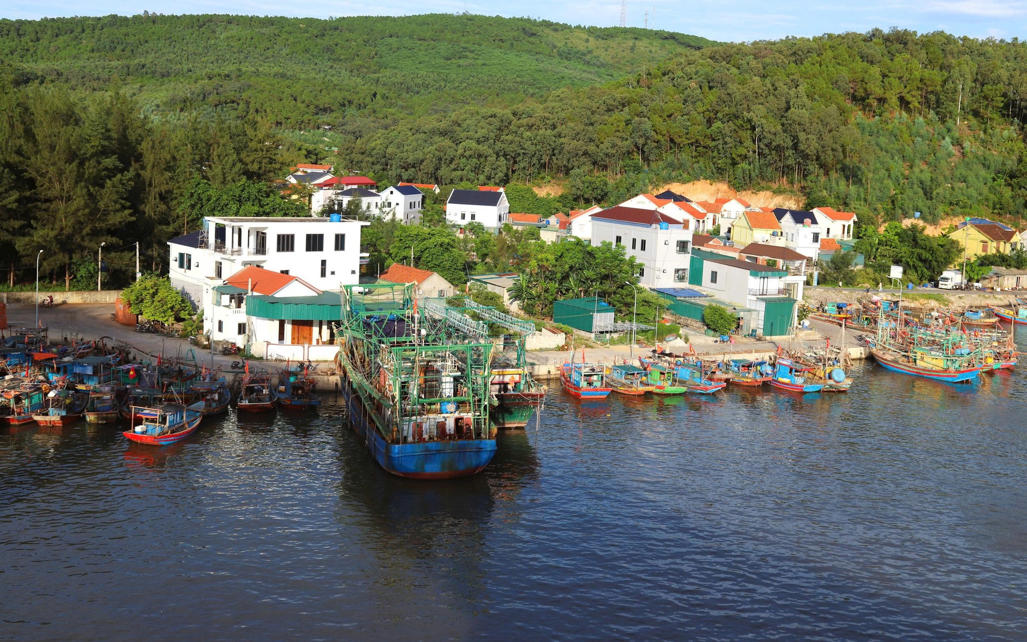 Lâm Đồng cấm toàn bộ tàu thuyền ra khơi, kích hoạt ứng phó cao nhất với bão số 15- Ảnh 2.