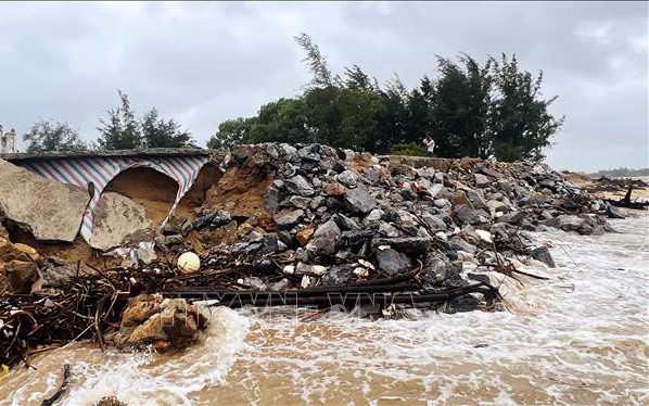 Cập nhật thông tin mới nhất về bão số 8- Ảnh 3.