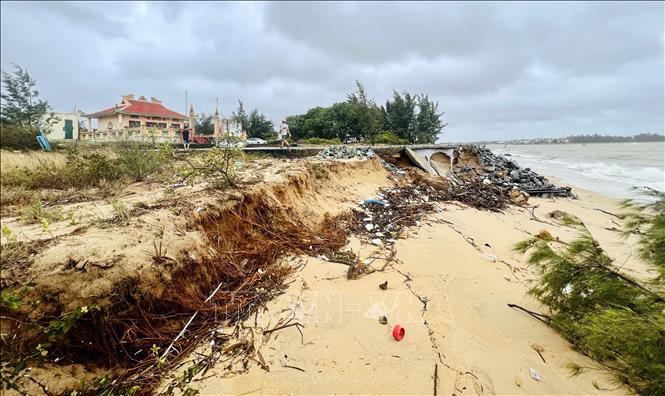 Bờ biển Quảng Trị sạt lở nghiêm trọng, hàng trăm hộ dân thấp thỏm trong mùa mưa bão- Ảnh 3.