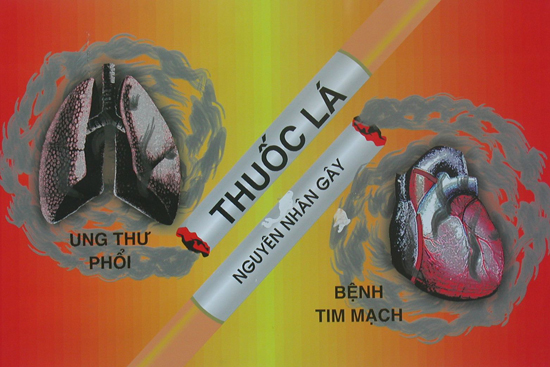 Ảnh hưởng của thuốc lá đến tim mạch và tăng huyết áp thế nào?- Ảnh 2.