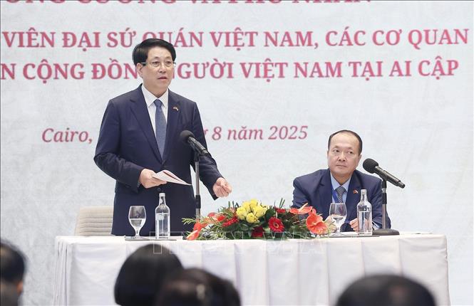 Chủ tịch nước gặp mặt cán bộ Đại sứ quán và cộng đồng người Việt Nam tại Ai Cập- Ảnh 2.