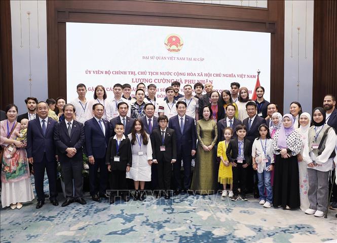 Chủ tịch nước gặp mặt cán bộ Đại sứ quán và cộng đồng người Việt Nam tại Ai Cập- Ảnh 3.