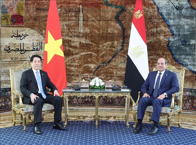 Lễ đón Chủ tịch nước Lương Cường thăm cấp Nhà nước Cộng hòa Arab Ai Cập- Ảnh 6. Lễ đón Chủ tịch nước Lương Cường thăm cấp Nhà nước Cộng hòa Arab Ai Cập- Ảnh 6.