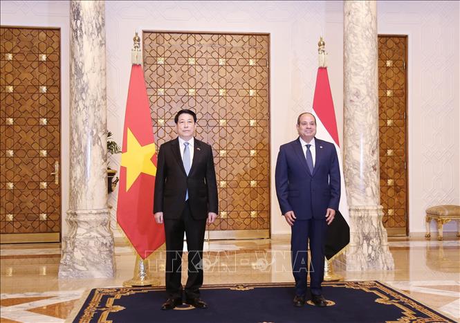 Lễ đón Chủ tịch nước Lương Cường thăm cấp Nhà nước Cộng hòa Arab Ai Cập- Ảnh 5. Lễ đón Chủ tịch nước Lương Cường thăm cấp Nhà nước Cộng hòa Arab Ai Cập- Ảnh 5.