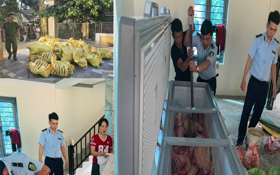 Tiêu hủy hơn 5 tạ lợn nhiễm dịch tả lợn châu Phi- Ảnh 3.