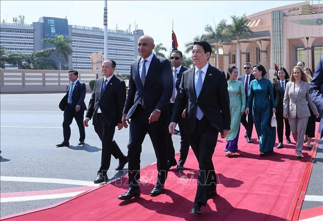 Chủ tịch nước kết thúc chuyến thăm Ai Cập, lên đường thăm Angola- Ảnh 1.