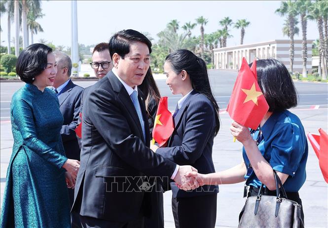 Chủ tịch nước kết thúc chuyến thăm Ai Cập, lên đường thăm Angola- Ảnh 2.