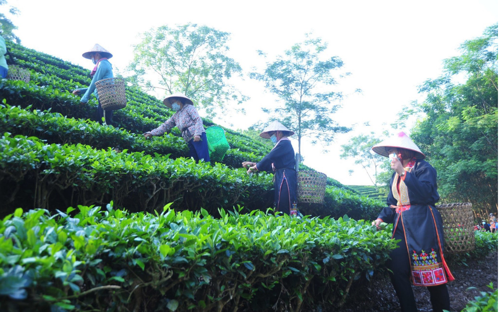Tuyên Quang phát huy sức dân trong công cuộc giảm nghèo bền vững