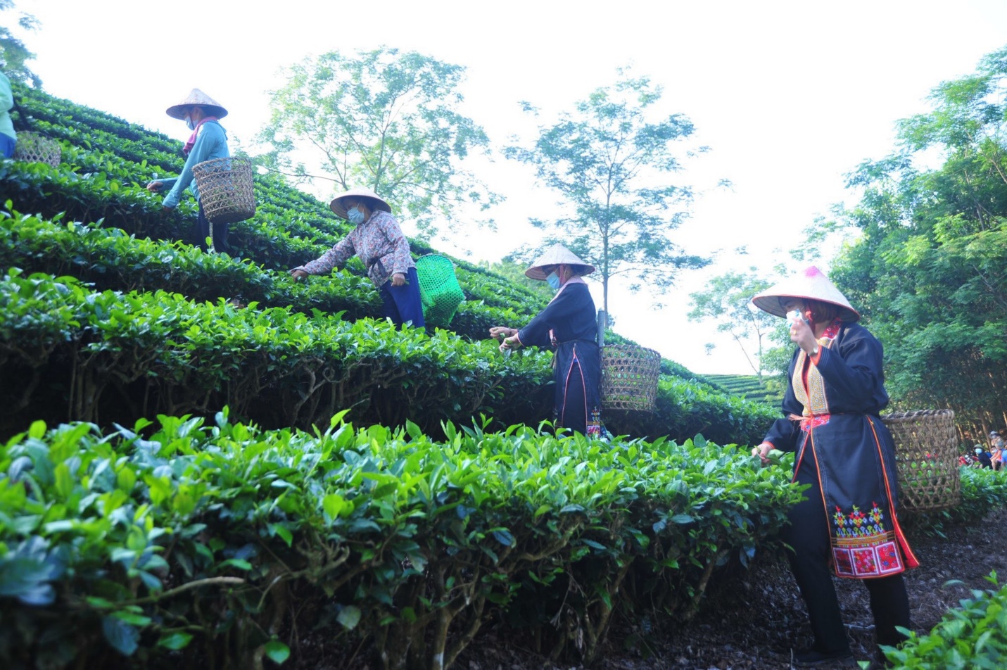 Tuyên Quang phát huy sức dân trong công cuộc giảm nghèo bền vững- Ảnh 2.