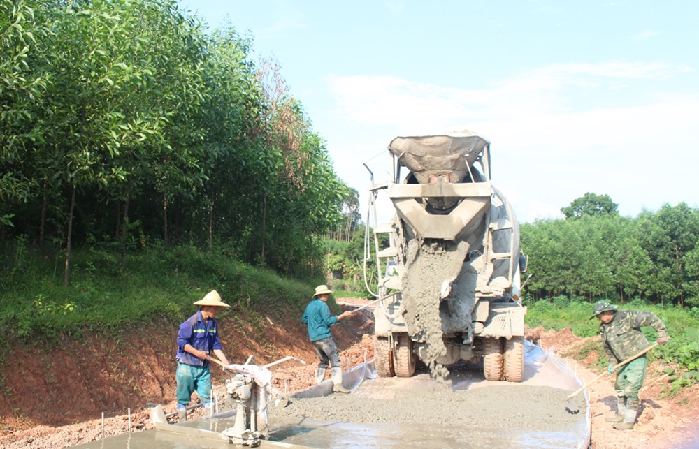 Bắc Ninh đẩy mạnh xây dựng nông thôn xanh, sạch, đẹp và giảm nghèo bền vững- Ảnh 2.