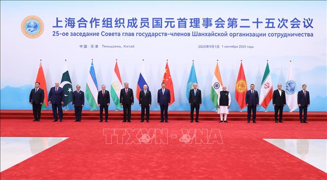 Hội nghị thượng đỉnh SCO: Lãnh đạo các quốc gia phê chuẩn Tuyên bố Thiên Tân- Ảnh 1.