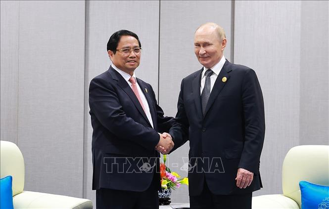 Thủ tướng Phạm Minh Chính hội kiến Tổng thống Nga Vladimir Putin- Ảnh 3.