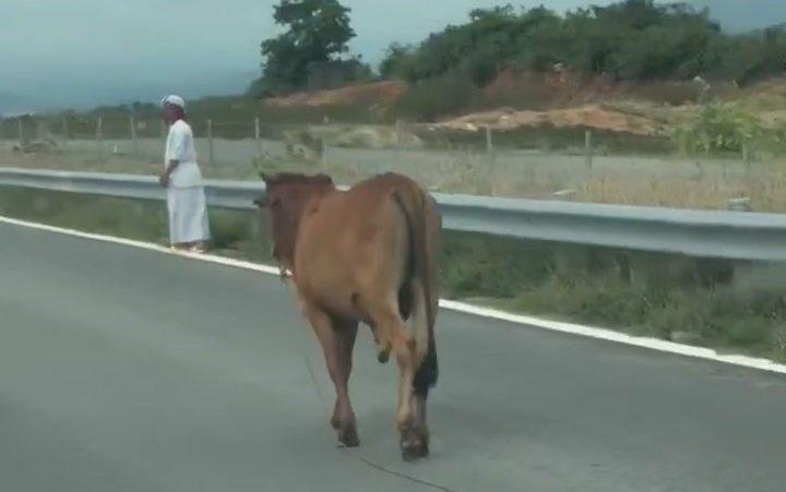 Không có làn dừng khẩn cấp, nhiều tài xế lo TNGT trên cao tốc Vĩnh Hảo - Phan Thiết- Ảnh 3.