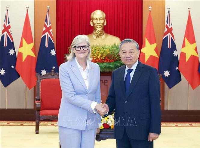 Tổng Bí thư Tô Lâm tiếp Toàn quyền Australia- Ảnh 2. Tổng Bí thư Tô Lâm tiếp Toàn quyền Australia- Ảnh 2.