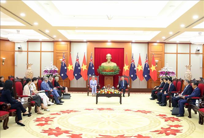 Tổng Bí thư Tô Lâm tiếp Toàn quyền Australia- Ảnh 4. Tổng Bí thư Tô Lâm tiếp Toàn quyền Australia- Ảnh 4.