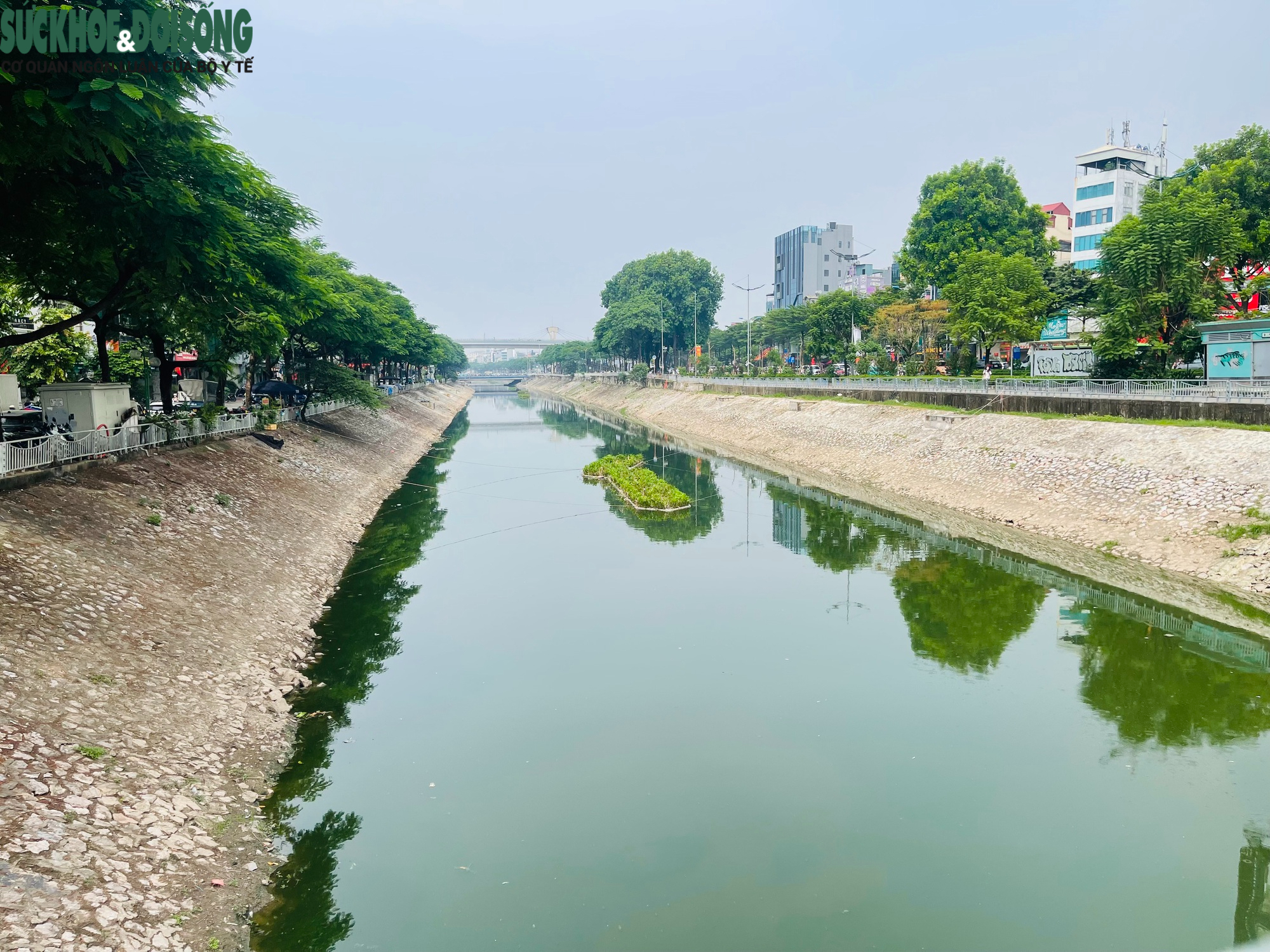 Cận cảnh sông Tô Lịch trong xanh hơn nhờ dòng nước từ Hồ Tây- Ảnh 2.