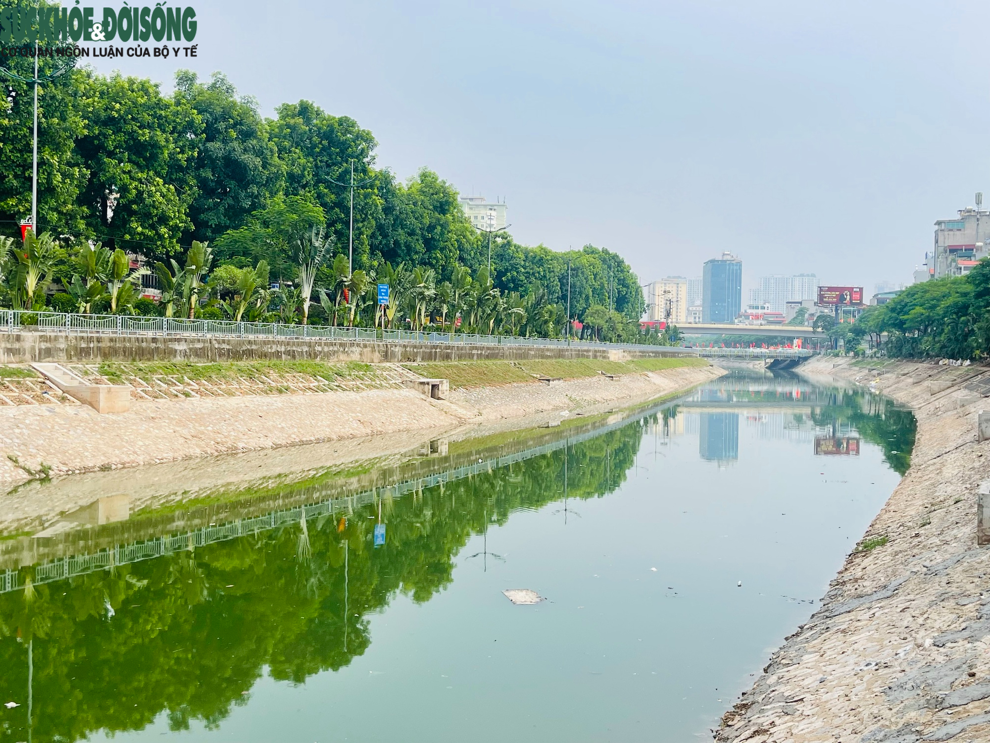 Cận cảnh sông Tô Lịch trong xanh hơn nhờ dòng nước từ Hồ Tây- Ảnh 4.