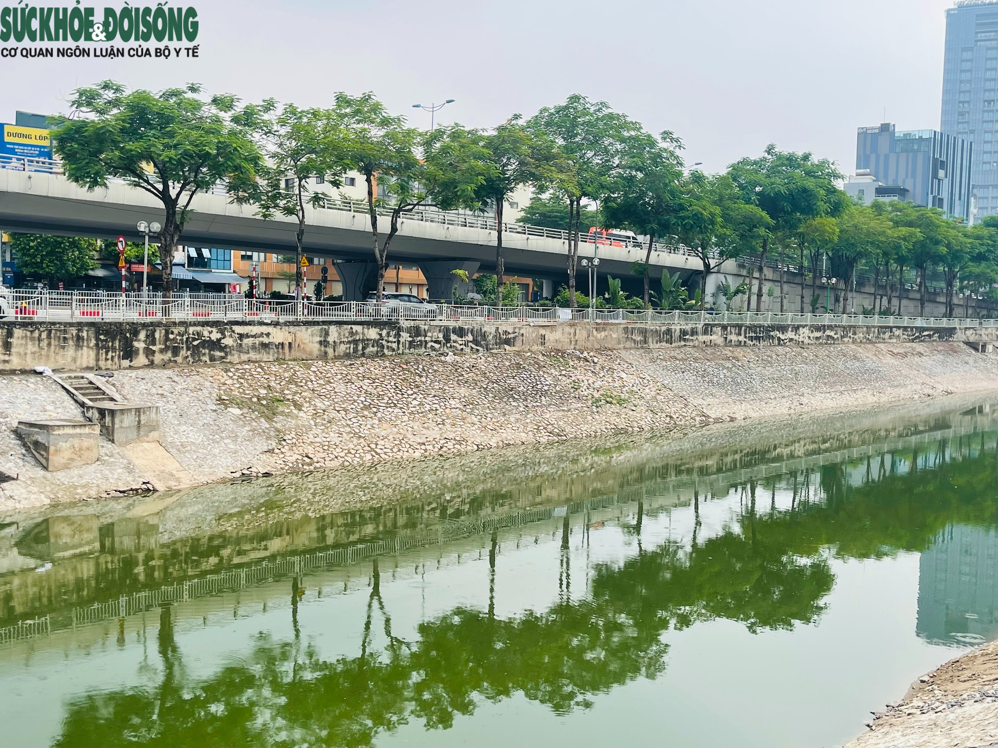 Cận cảnh sông Tô Lịch trong xanh hơn nhờ dòng nước từ Hồ Tây- Ảnh 5.