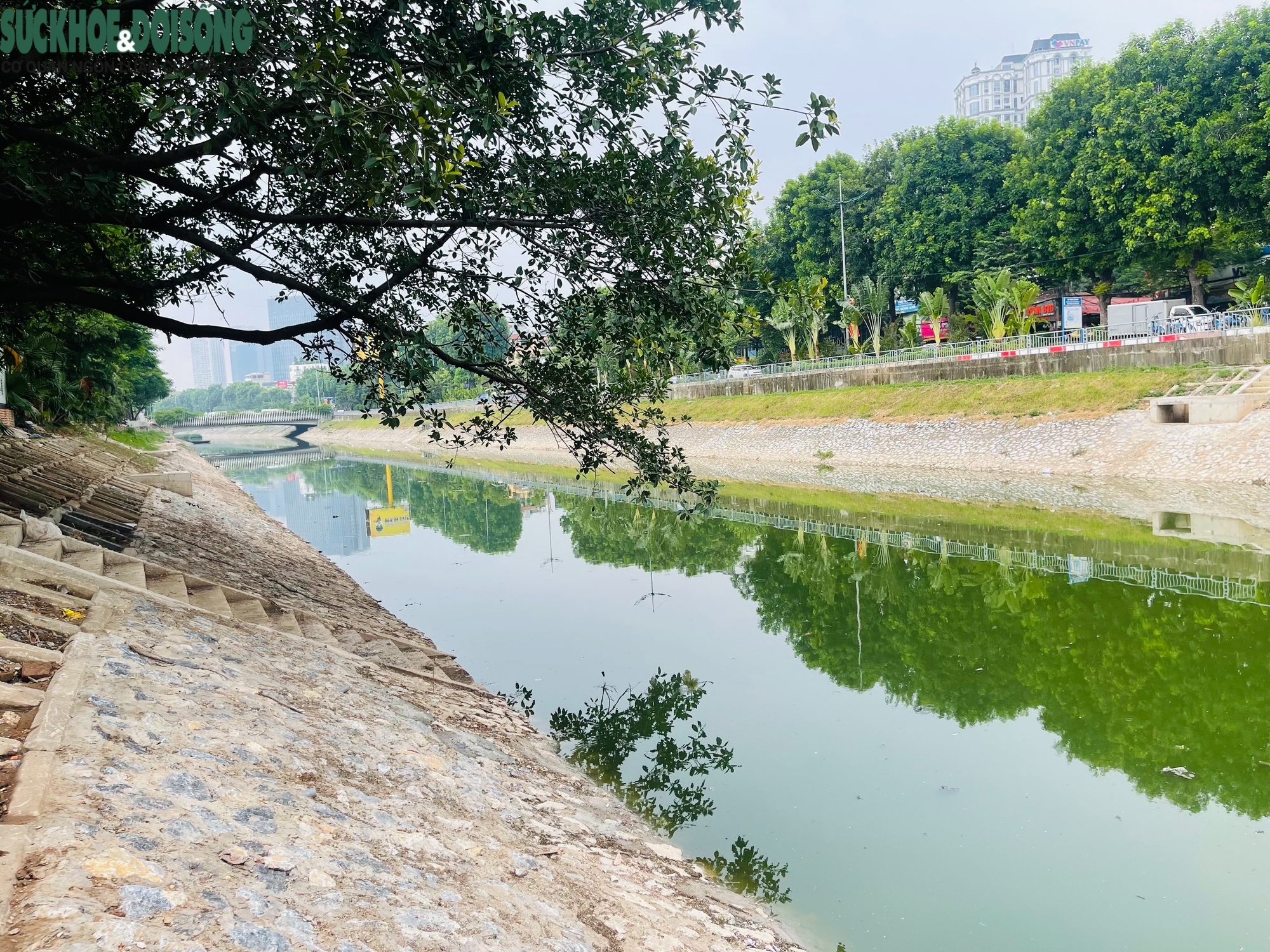 Cận cảnh sông Tô Lịch trong xanh hơn nhờ dòng nước từ Hồ Tây- Ảnh 7.