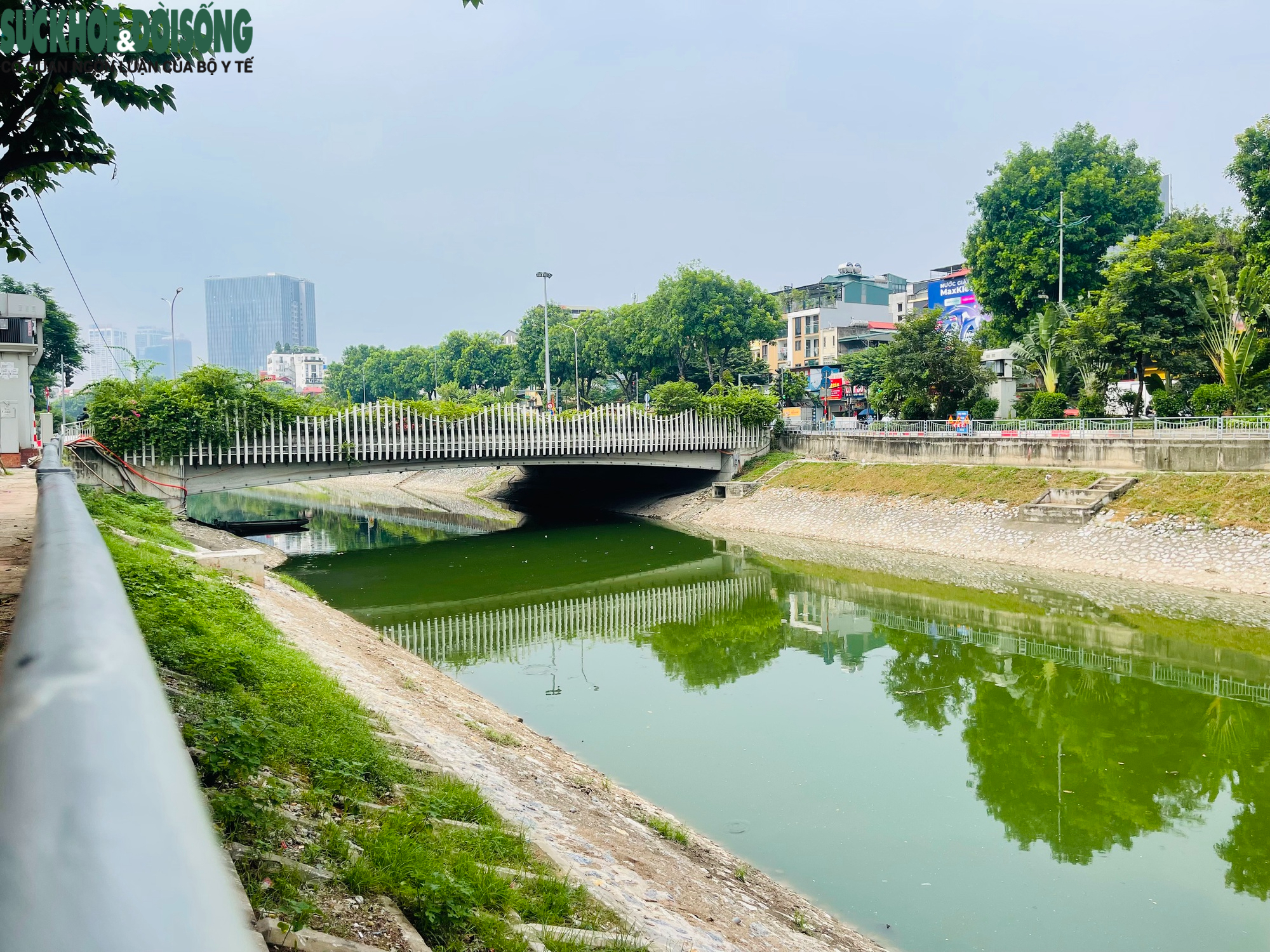 Cận cảnh sông Tô Lịch trong xanh hơn nhờ dòng nước từ Hồ Tây- Ảnh 8.