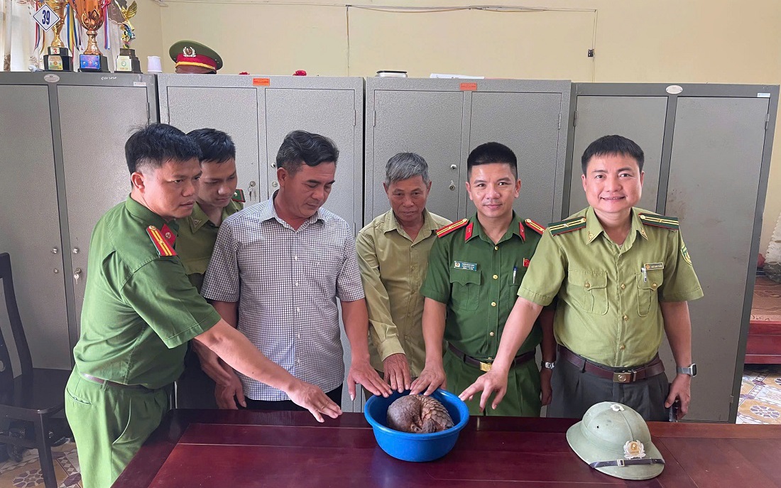 Người đàn ông bất ngờ phát hiện tê tê quý hiếm ‘đi lạc’ vào vườn- Ảnh 2.