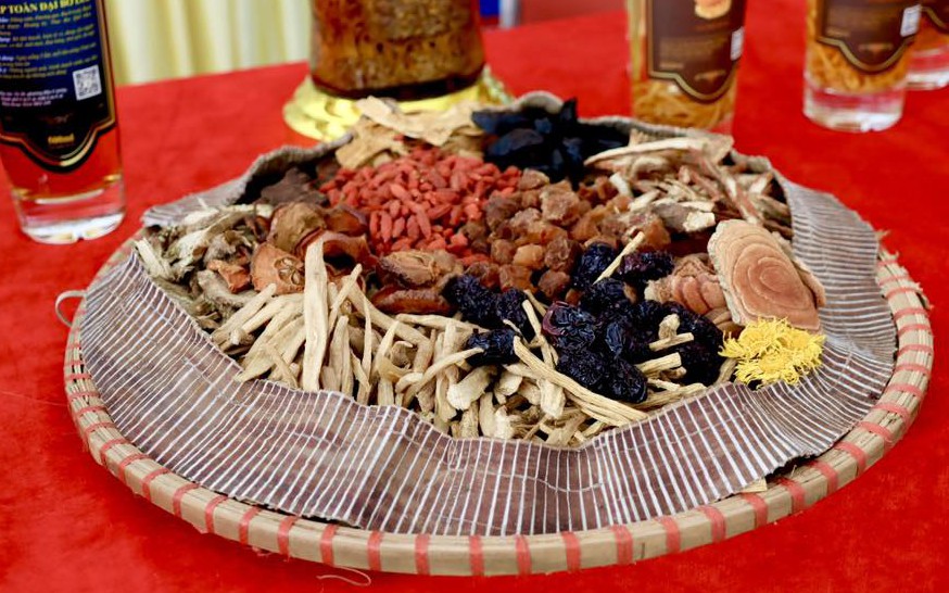 Phát huy y học cổ truyền để nâng tầm công nghiệp dược Việt Nam- Ảnh 2.