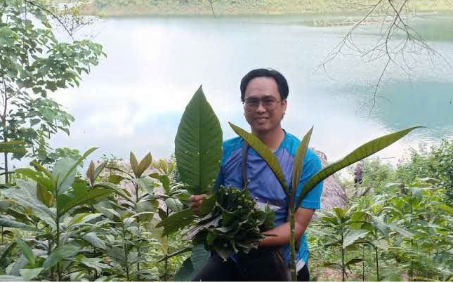 Khai thác và bảo tồn dược liệu dưới tán rừng: Hướng đi bền vững, tạo sinh kế cho người dân